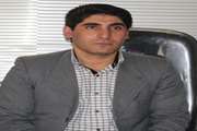 یک واحد لبنی در اسدآباد پلمپ شد