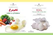 پیام طلایی تخم مرغ 