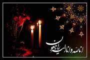 همکار گرامی جناب آقای علیرضا قراگوزلو