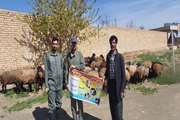 اردوی جهادی و انجام خدمات رایگان دامپزشکی در روستای میرزاحصاری 