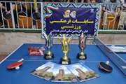 مسابقات پینگ پنگ کارکنان اداره کل دامپزشکی استان انجام شد.