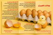 آنچه که باید در سلامت تخم مرغ بدانیم