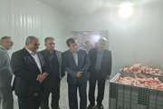 بازدید میدانی معاون بهداشتی و پیشگیری سازمان دامپزشکی کشور از شرکت بسته بندی و قطعه بندی گوشت کالا هگمتان پارس شهرستان بهار 
