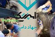 پیام تبریک مدیرکل دامپزشکی استان همدان به مناسبت هفته بسیج سازندگی
