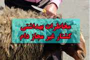 توصیه های اداره دامپزشکی تویسرکان در خصوص مقابله با کشتار غیر مجاز دام 