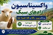  ارائه خدمات رایگان دامپزشکی در روستاهای پیروز،زنگنه و قلعه علیمراد خواه شهرستان ملایر