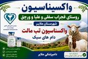 ارائه خدمات رایگان دامپزشکی در روستاهای قجراب علیا ،سفلی و ورچق شهرستان ملایر