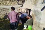 خدمات رایگان دامپزشکی در روستای مهر آباد ملایر