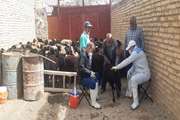 برگزاری اردوی جهادی دامپزشکی در سطح روستاهای محروم و کم برخوردار 