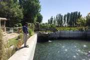 بازدید مشترک کارشناسان ادارات دامپزشکی و جهاد کشاورزی از مزارع پرورش ماهی در شهرستان همدان