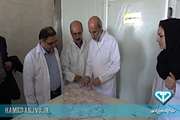 بازدید رئیس سازمان دامپزشکی از شرکت بسته بندی مواد خام دامی در شهرستان تویسرکان