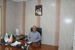 صادرات نزدیک به از 1200 تن پا و پنجه مرغ از ابتدای سالجاری به کشور ویتنام