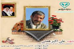 معرفی شهید علی اکبر همتی