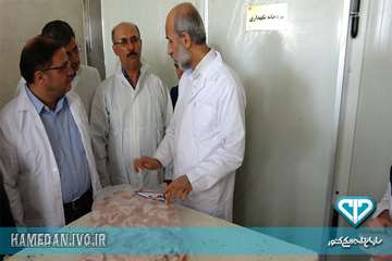 بازدید رئیس سازمان دامپزشکی از شرکت بسته بندی مواد خام دامی در شهرستان تویسرکان