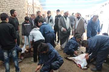 مراسم نظارت بهداشتی و شرعی بر دام های قربانی در تاسوعا و عاشورای حسینی