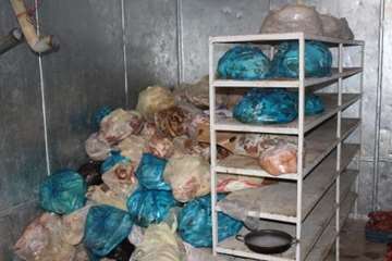 ضبط و معدوم سازی آلایش دامی غیرقابل مصرف و تاریخ گذشته در شهرستان بهار