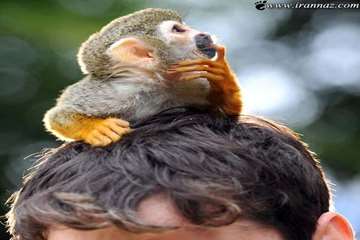 تصاویر جالب 9