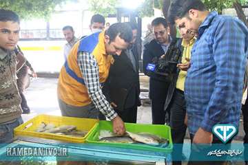 بازدید دکتر حقیقی و صدا و سیما از مراکز عرضه مواد خام دامی در طرح تشدید کنترل و نظارت بهداشتی ویژه م