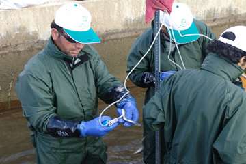 واكسيناسيون ماهي