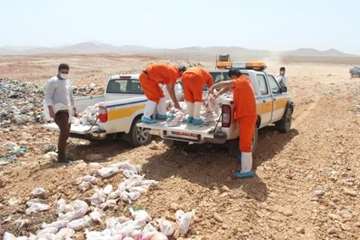 بازرسی و ضبط و معدوم سازی مواد خام دامی غیر بهداشتی