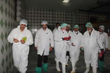 بازدید کارشناسان سازمان دامپزشکی کشور از کشتارگاه طیور در استان همدان