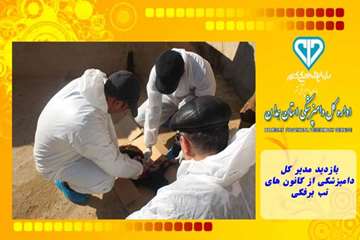 بازدید مدیر کل دامپزشکی از کانون های تب برفکی