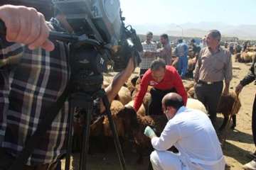 مراسم نظارت بهداشتی و شرعی بر قربانی های شهروندان در عید سعید قربان 