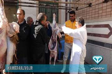 نظارت بازرسان اداره کل دامپزشکی استان همدان بر دام های قربانی در ایام عاشورا و تاسوعای حسینی