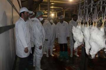 بازدید کارشناسان سازمان دامپزشکی کشور از کشتارگاه طیور در استان همدان