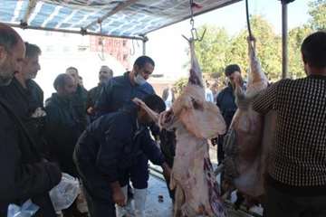 مراسم نظارت بهداشتی و شرعی بر دام های قربانی در تاسوعا و عاشورای حسینی