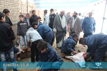 طرح نظازت شرعی و بهداشتی به دامهای قربانی در تاسوعا و عاشورای حسینی