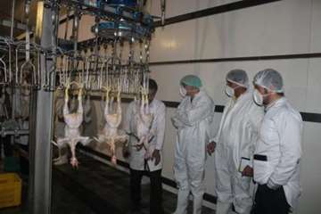 بازدید کارشناسان سازمان دامپزشکی کشور از کشتارگاه طیور در استان همدان