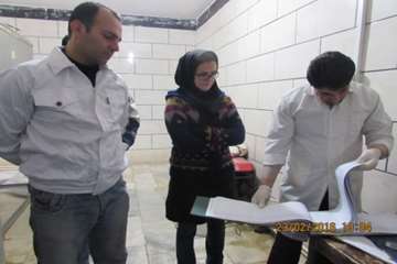 بازدید رئیس اداره از ایستگاه های جمع آوری شیر