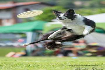 تصاویر جالب 7