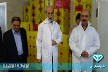 بازدید رئیس سازمان دامپزشکی از شرکت بسته بندی مواد خام دامی در شهرستان تویسرکان