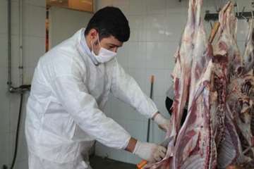 مراسم نظارت بهداشتی و شرعی بر قربانی های شهروندان در عید سعید قربان 