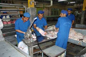 كشتارگاه طيور