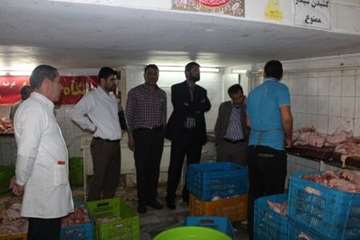 بازدید مشترک از مراکز عرضه مواد خام دامی