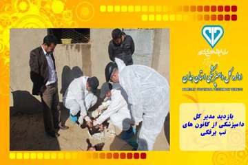 بازدید مدیر کل دامپزشکی از کانون های تب برفکی