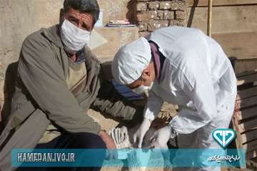 مراقبت فعال آنفلوانزا