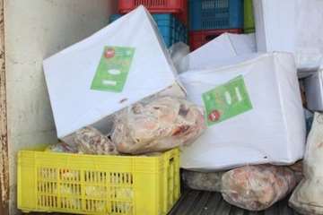 ضبط و معدوم سازی مواد خام دامی غیر قابل مصرف و ناریخ گذشته