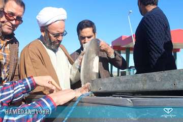 توقیف ماشین حمل کوسه ماهی و ضبط و معدوم سازی محموله