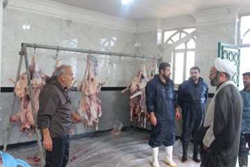 مراسم نظارت بهداشتی و شرعی بر دام های قربانی در تاسوعا و عاشورای حسینی