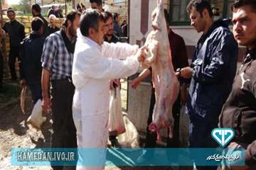 نظارت بازرسان اداره کل دامپزشکی استان همدان بر دام های قربانی در ایام عاشورا و تاسوعای حسینی