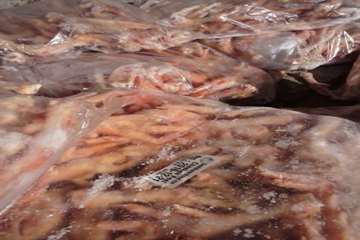 ضبط و معدوم سازی پای مرغ