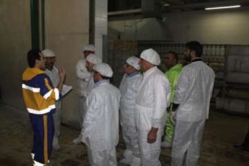 بازدید مشترک  مسئولین استان از کشتارگاه طیور ملایر