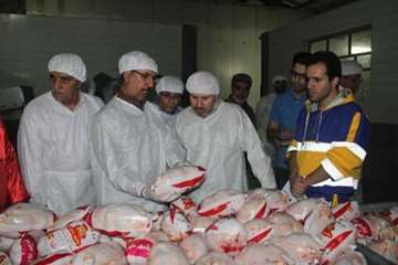 بازدید مشترک  مسئولین استان از کشتارگاه طیور ملایر