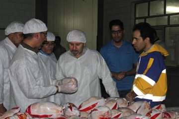 بازدید مشترک  مسئولین استان از کشتارگاه طیور ملایر