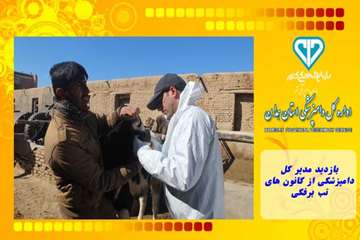 بازدید مدیر کل دامپزشکی از کانون های تب برفکی