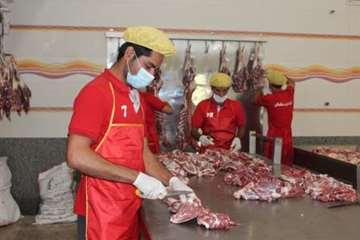 بازدید از کارخانه بسته بندی مواد خام دامی هگمتانه